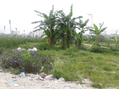 Ảnh bìa bài viết 533986