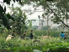 Ảnh bìa bài viết 533943