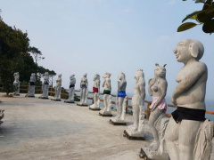 Ảnh bìa bài viết 534011