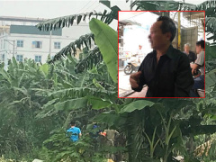 Ảnh bìa bài viết 534060