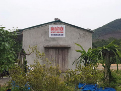 Ảnh bìa bài viết 534240