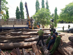 Ảnh bìa bài viết 534214