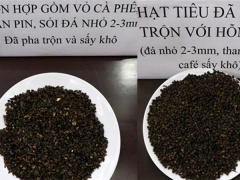 Ảnh bìa bài viết 534053
