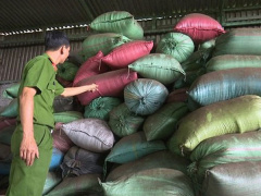 Ảnh bìa bài viết 534437
