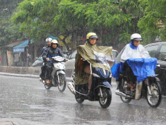 Ảnh bìa bài viết 534467