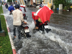 Ảnh bìa bài viết 534711
