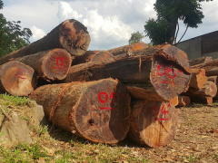 Ảnh bìa bài viết 534893