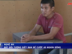 Ảnh bìa bài viết 535230