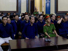 Ảnh bìa bài viết 535347
