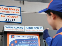 Ảnh bìa bài viết 535354