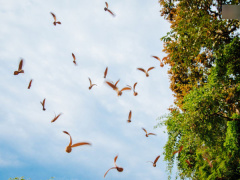 Ảnh bìa bài viết 535394