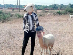 Ảnh bìa bài viết 535346