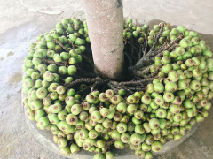 Ảnh bìa bài viết 535535