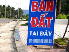 Ảnh bìa bài viết 535622