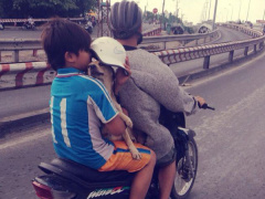 Ảnh bìa bài viết 535842