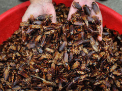 Ảnh bìa bài viết 535795