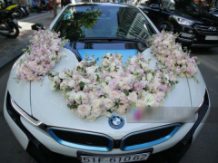Ảnh bìa bài viết 535828