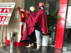 Ảnh bìa bài viết 536054