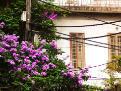 Ảnh bìa bài viết 535953
