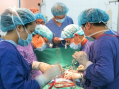 Ảnh bìa bài viết 536293