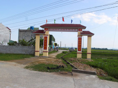 Ảnh bìa bài viết 536352