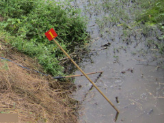Ảnh bìa bài viết 536341