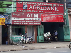 Ảnh bìa bài viết 536175