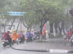 Ảnh bìa bài viết 536638
