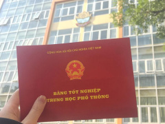 Ảnh bìa bài viết 536798