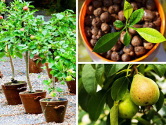 Ảnh bìa bài viết 537060