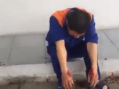 Ảnh bìa bài viết 537401
