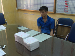 Ảnh bìa bài viết 537333