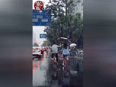 Ảnh bìa bài viết 537293