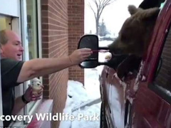 Ảnh bìa bài viết 537252