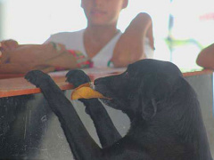 Ảnh bìa bài viết 537743