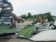 Ảnh bìa bài viết 537775