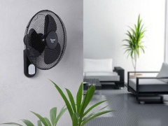 Ảnh bìa bài viết 537889