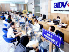 Ảnh bìa bài viết 538301