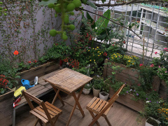 Ảnh bìa bài viết 538227