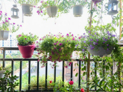 Ảnh bìa bài viết 538429