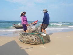 Ảnh bìa bài viết 538741
