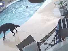 Ảnh bìa bài viết 538936