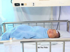 Ảnh bìa bài viết 539318