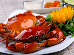 Ảnh bìa bài viết 539232