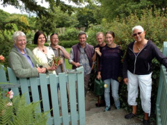 Ảnh bìa bài viết 539447