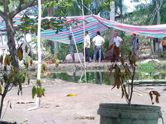Ảnh bìa bài viết 539428