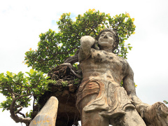 Ảnh bìa bài viết 539488