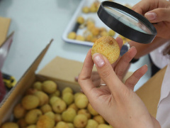 Ảnh bìa bài viết 539973