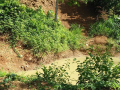 Ảnh bìa bài viết 540283
