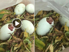 Ảnh bìa bài viết 540228